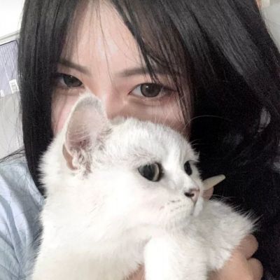 单机三国志3游戏下载